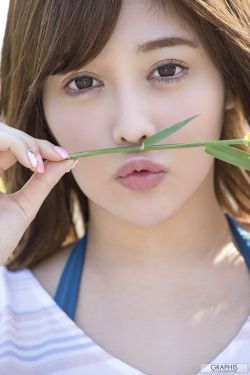 纳粹军妓